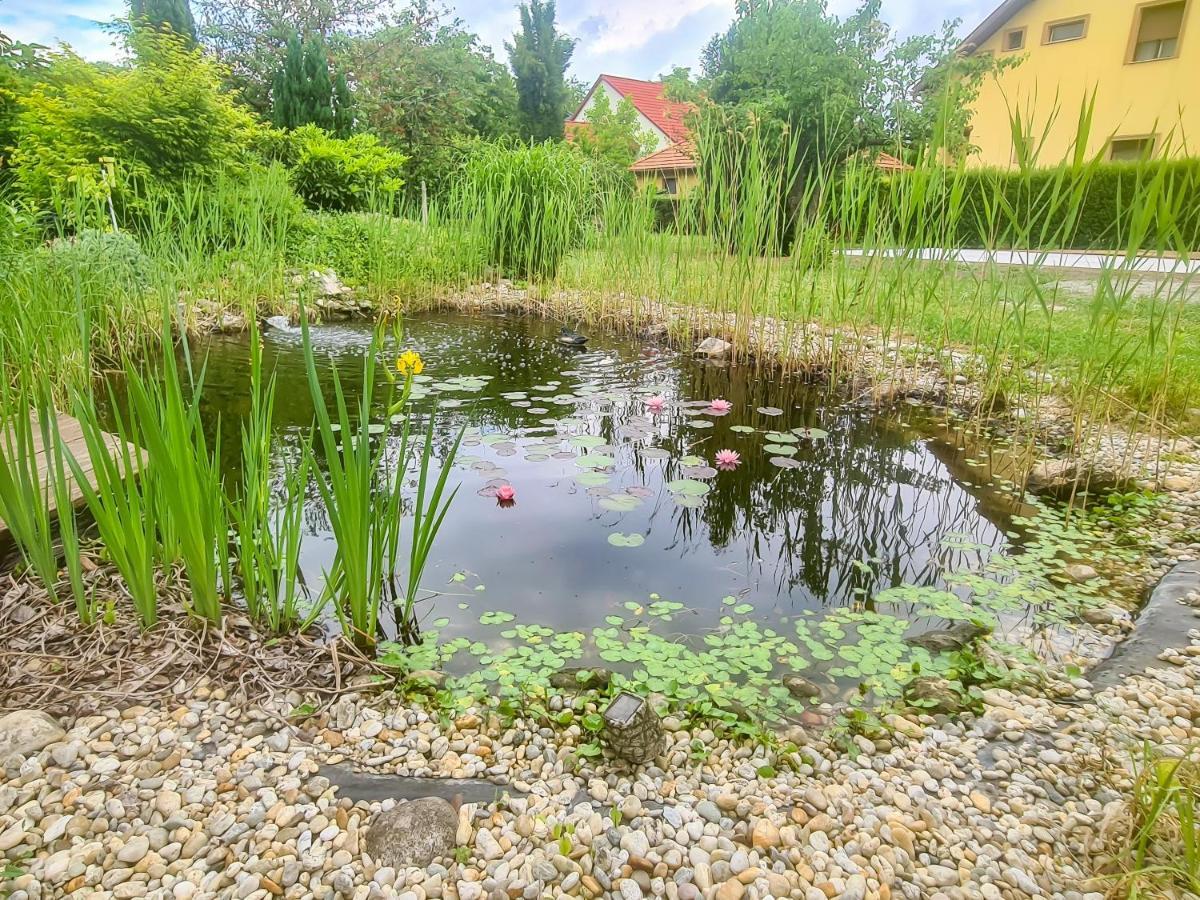 Ditlin Apartmanok Pápa Exterior foto